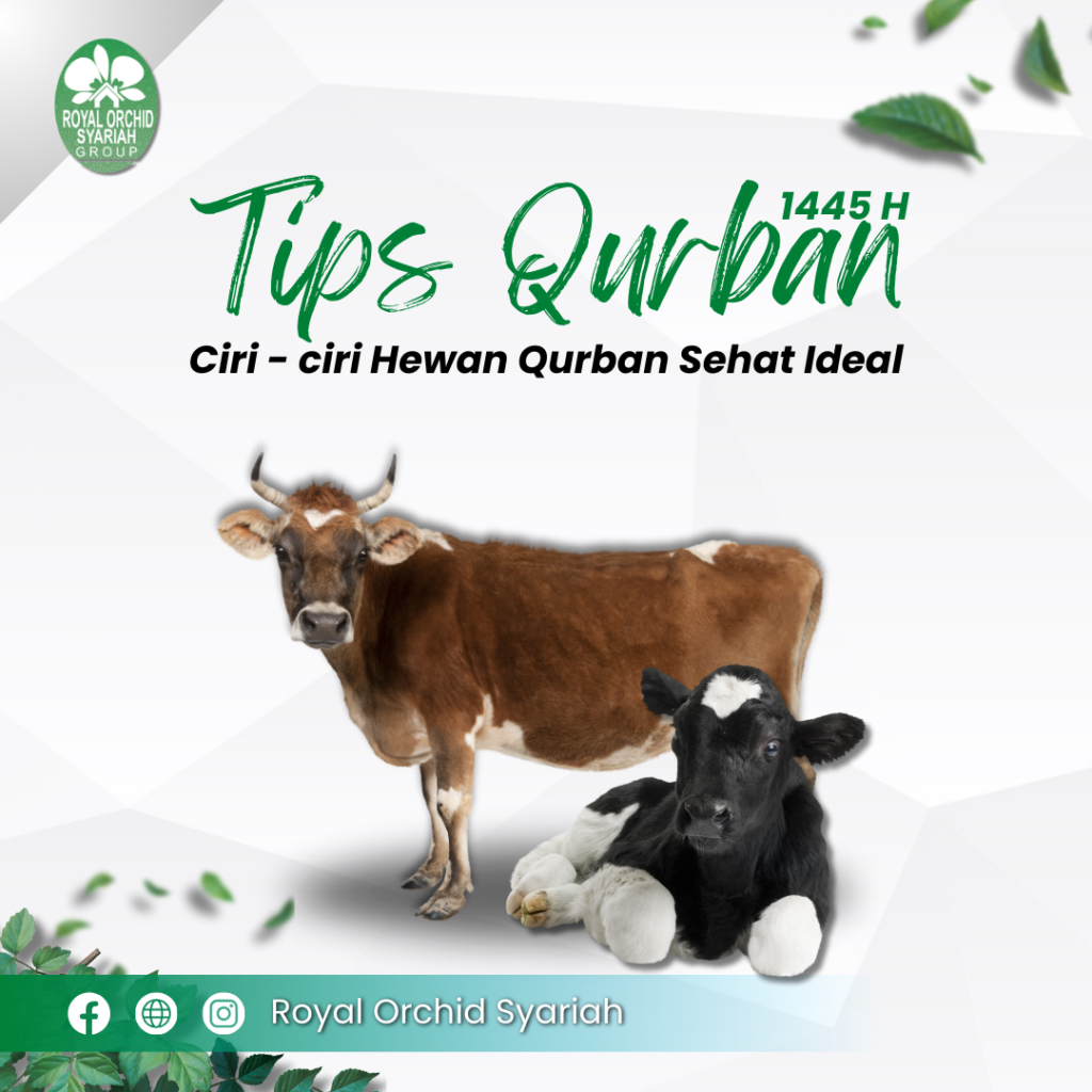 Tips Qurban