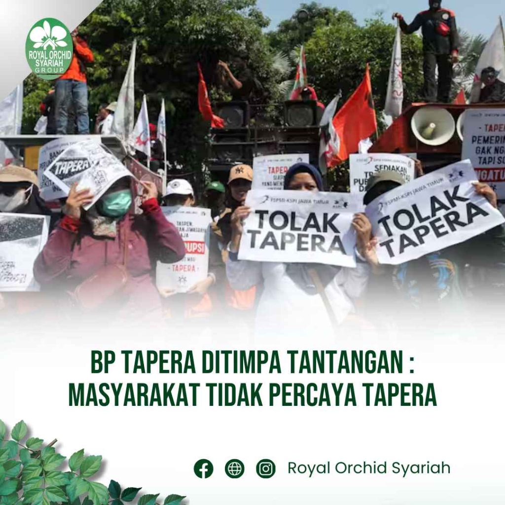 BP Tapera